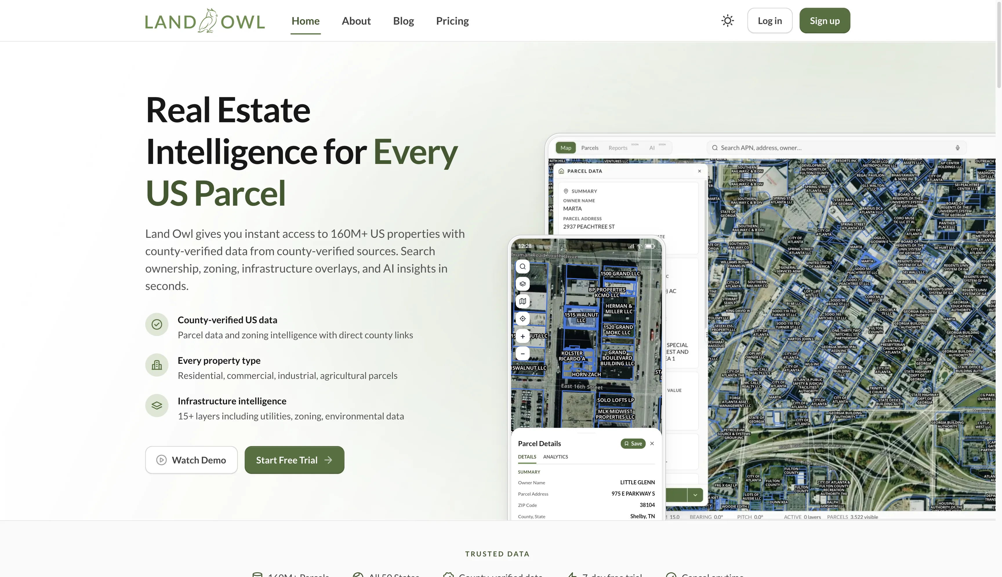 Land Owl